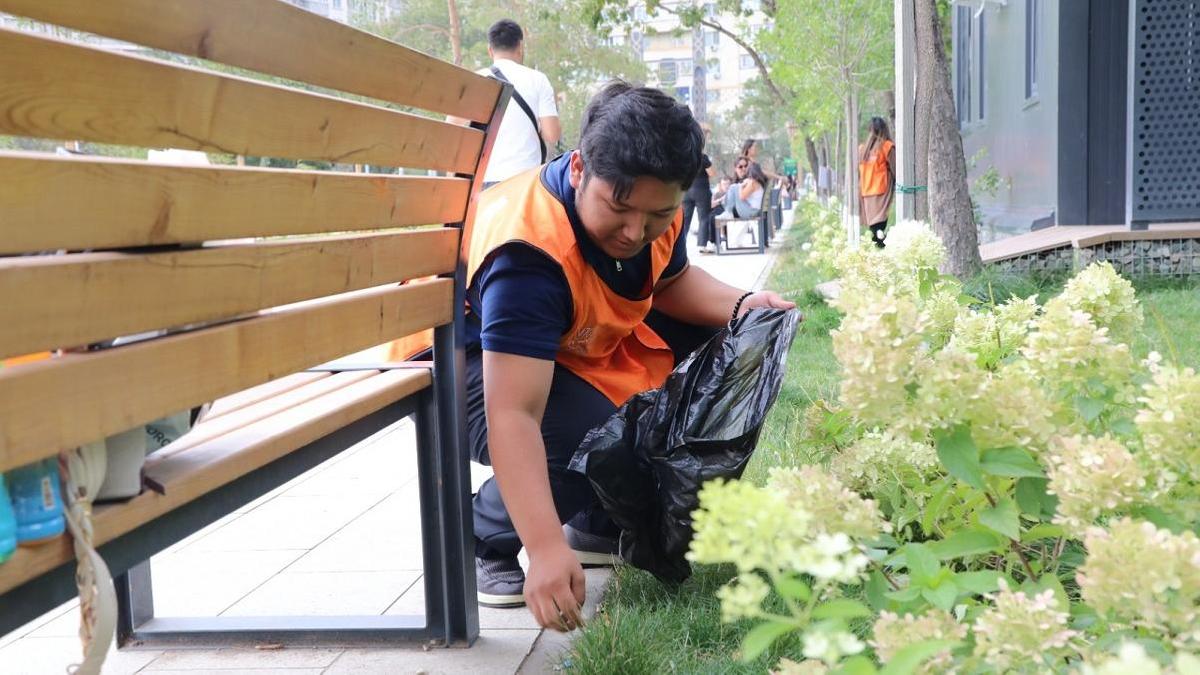 Человек собирает мусор