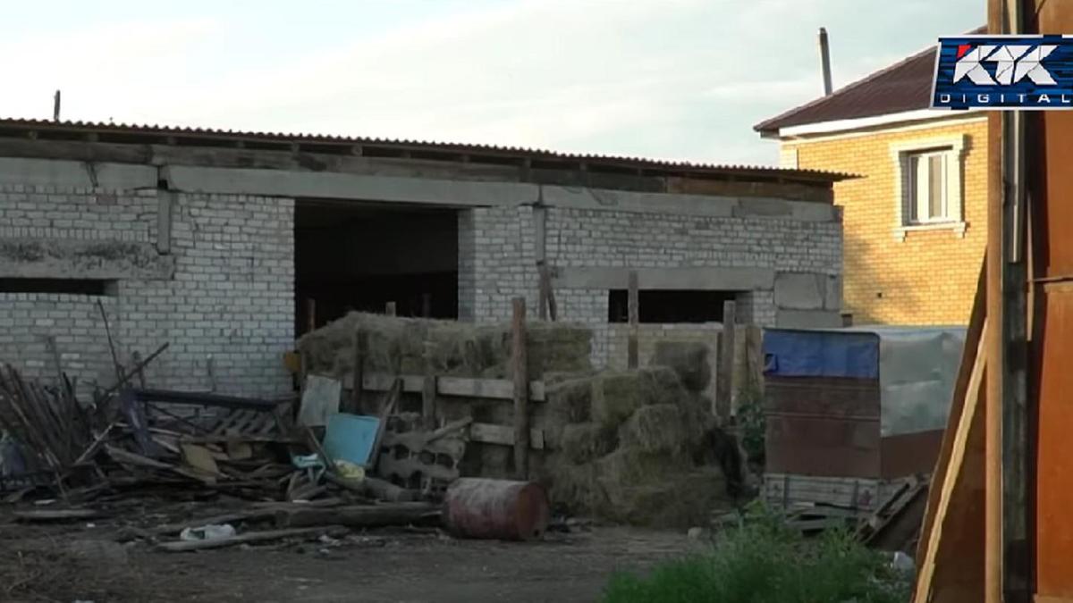 Место, где живут лошади