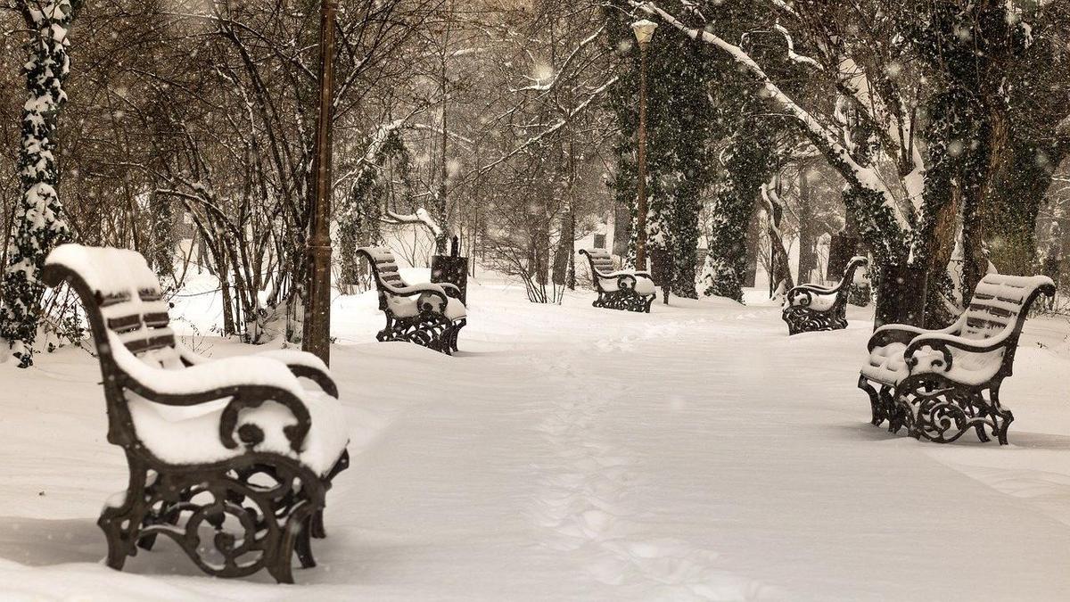 Заснеженные лавочки стоят в парке