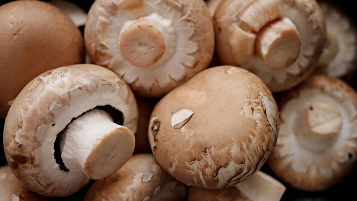 Шампиньоны