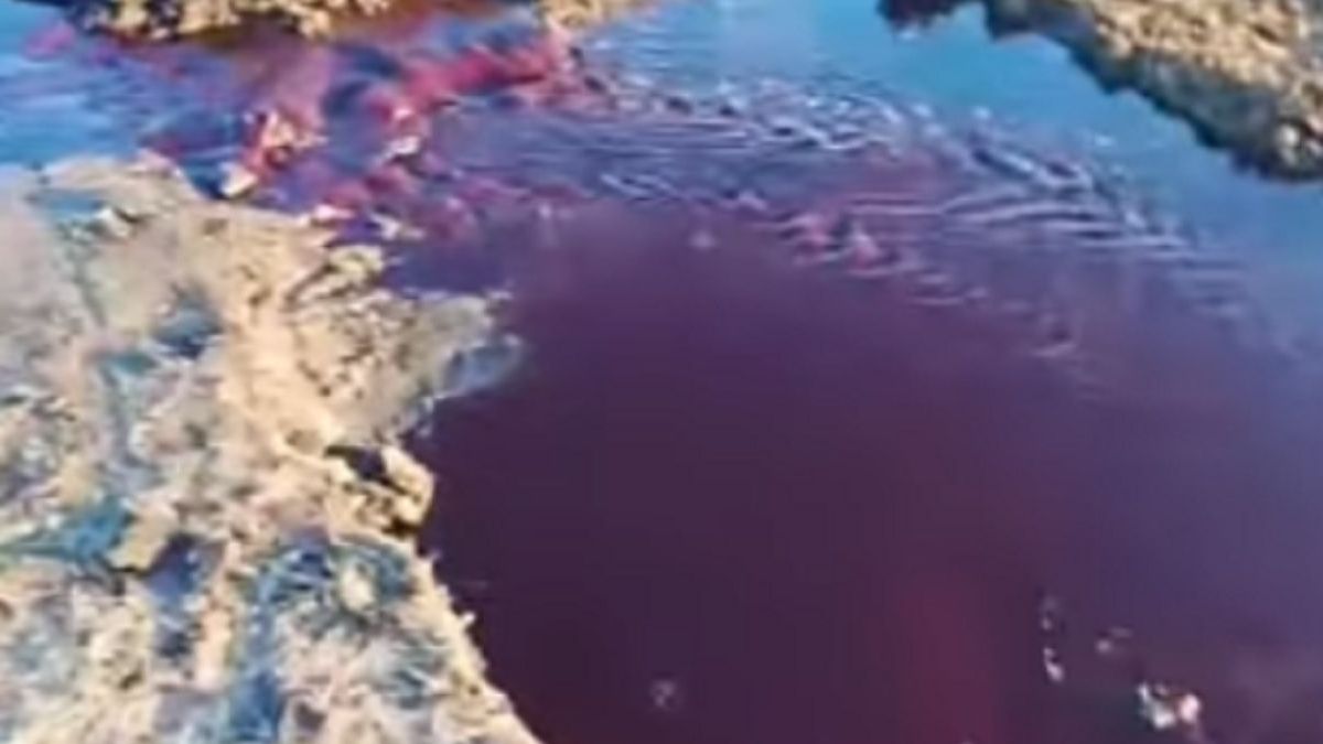 Жидкость багрового цвета