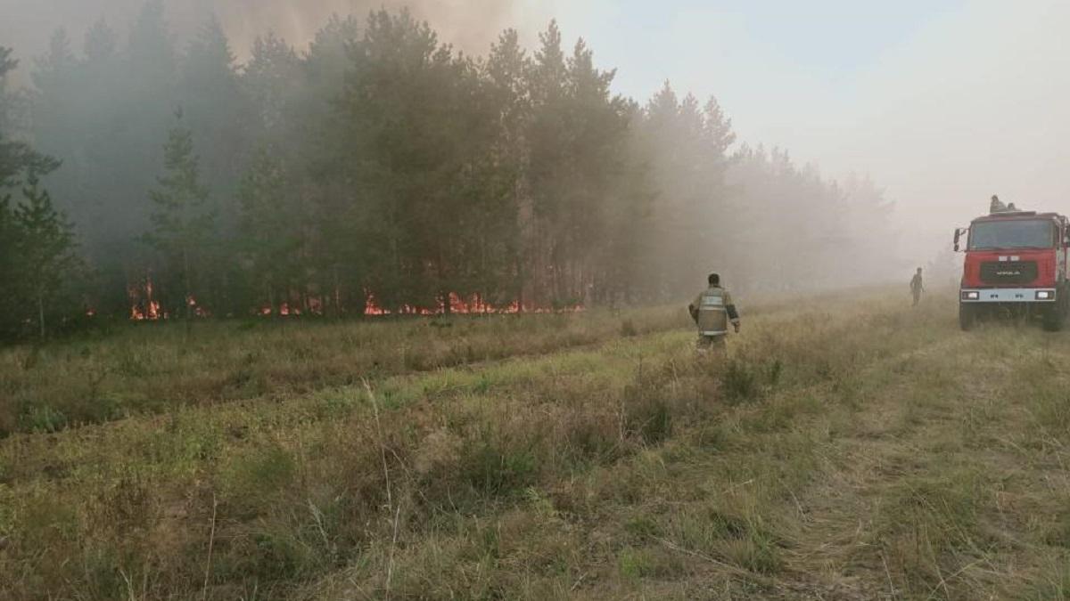 Пожарные в горящем лесу