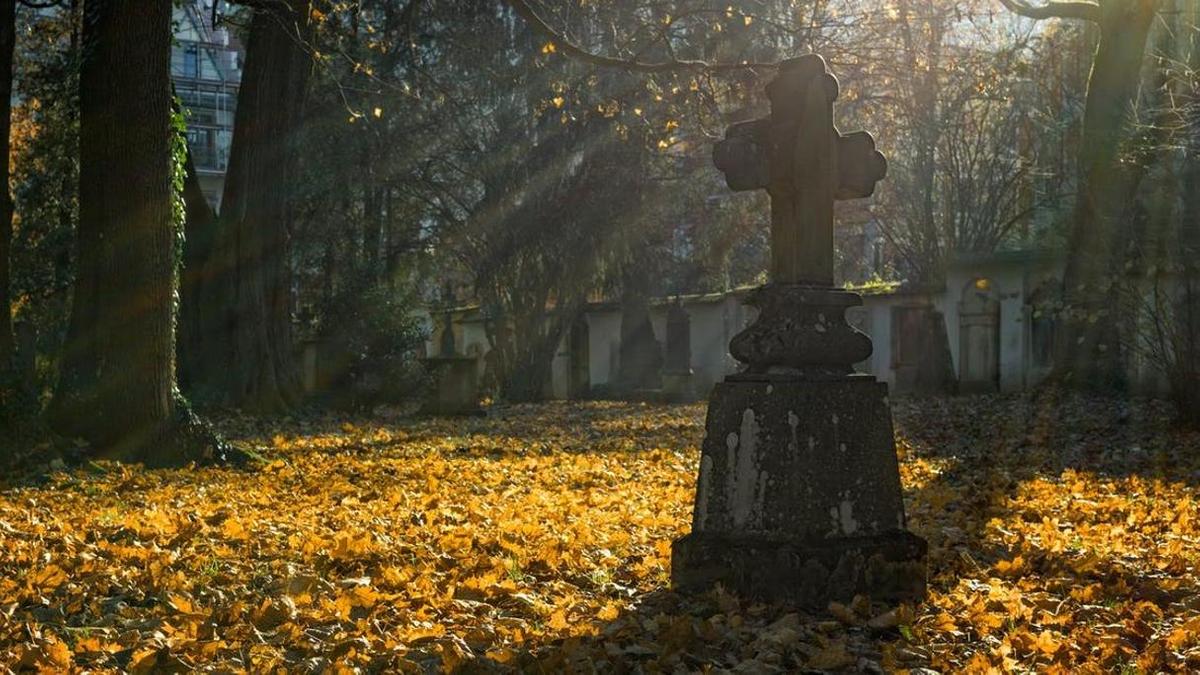 Пугающие сны о кладбище и могилах