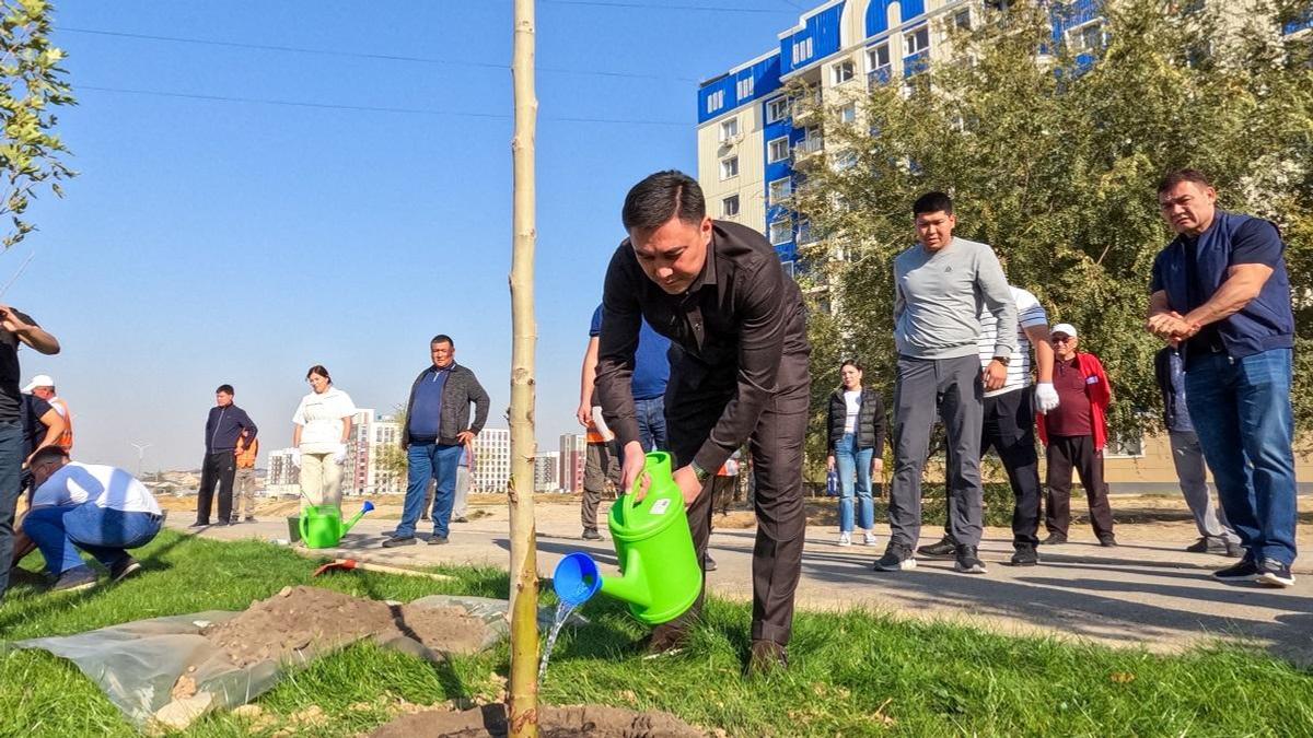 Посадка деревьев