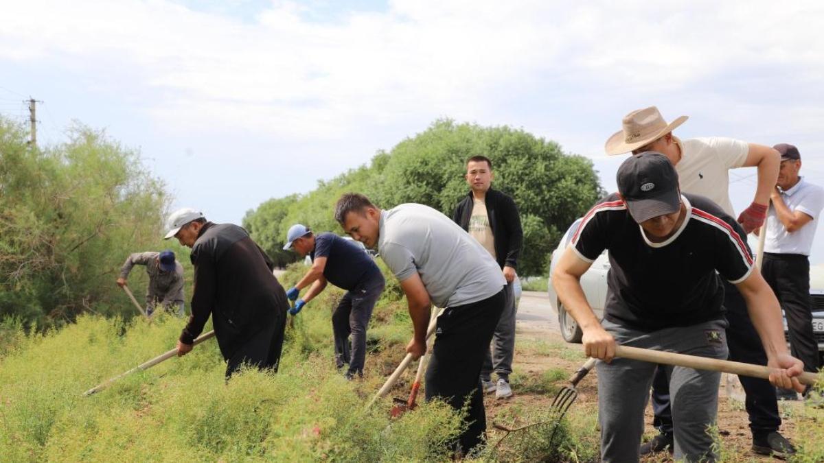 Сыр өңірінде "Таза су айдындары" акциясы өтті Сыр өңірінде "Таза су айдындары" акциясы өтті