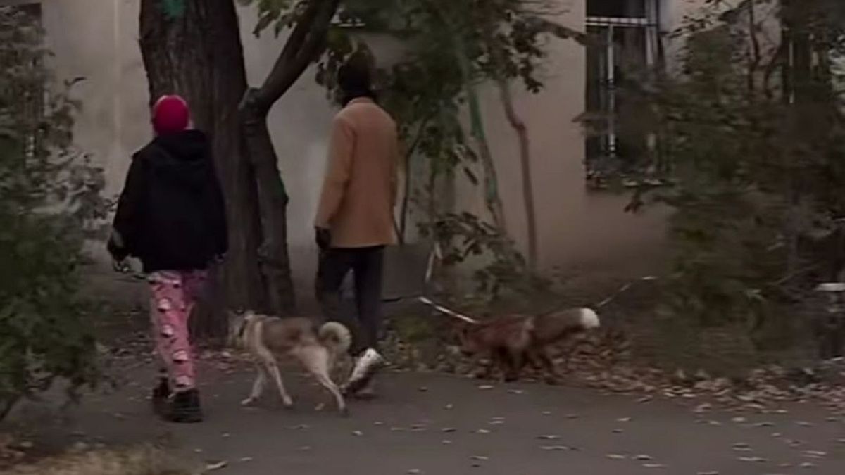 Парень с лисой