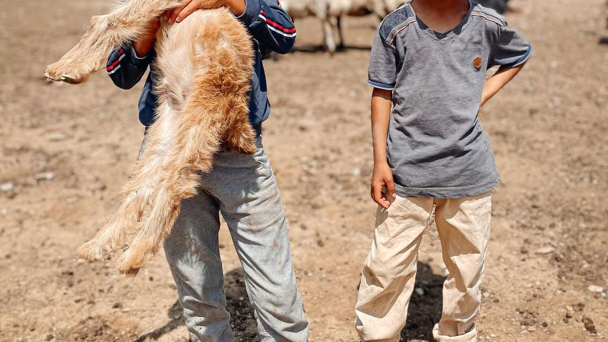 Дети на пастбище