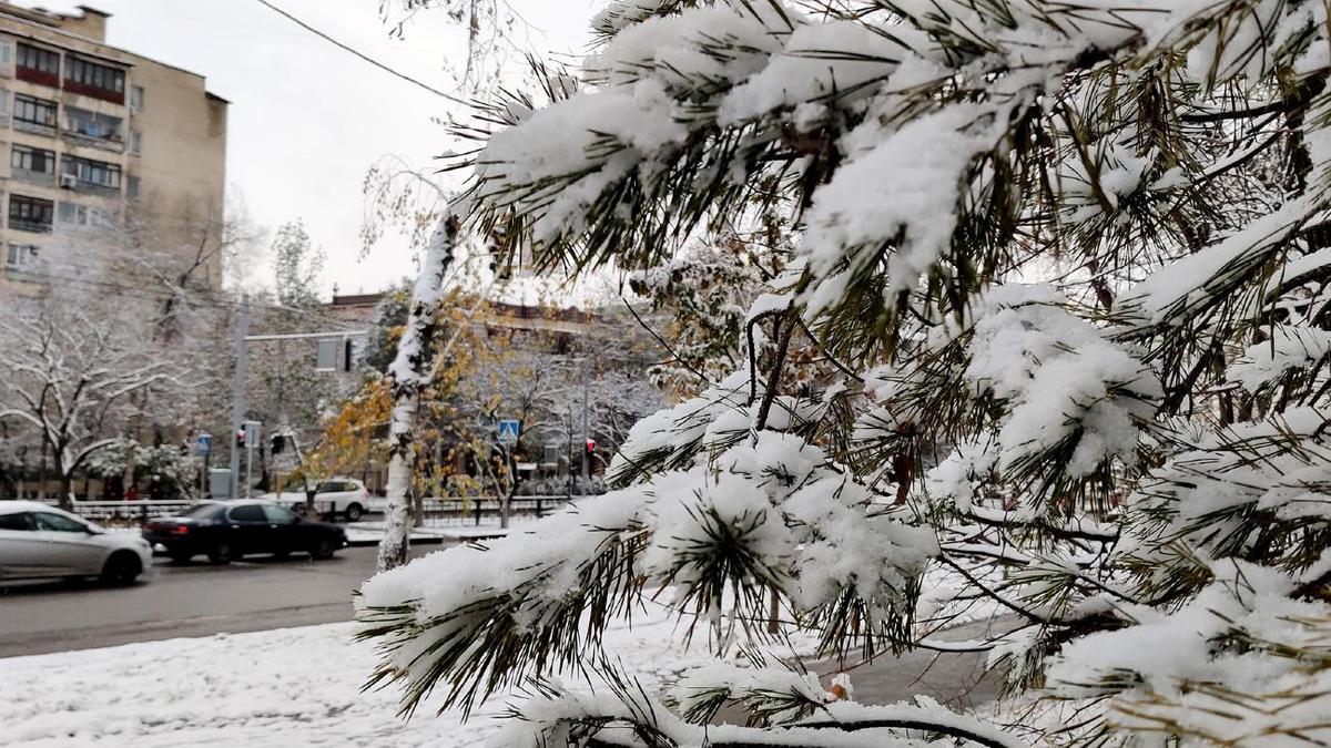 Погода алматы на месяц март 2024 года. Зима в Алматы температура. Алматы погода зимой. Апрель Алматы погода. Алматы погода январь снег.