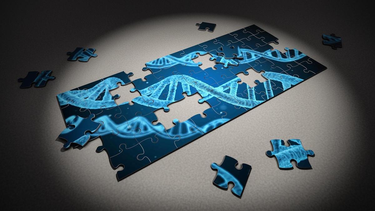 Что такое ДНК и РНК человека простыми словами