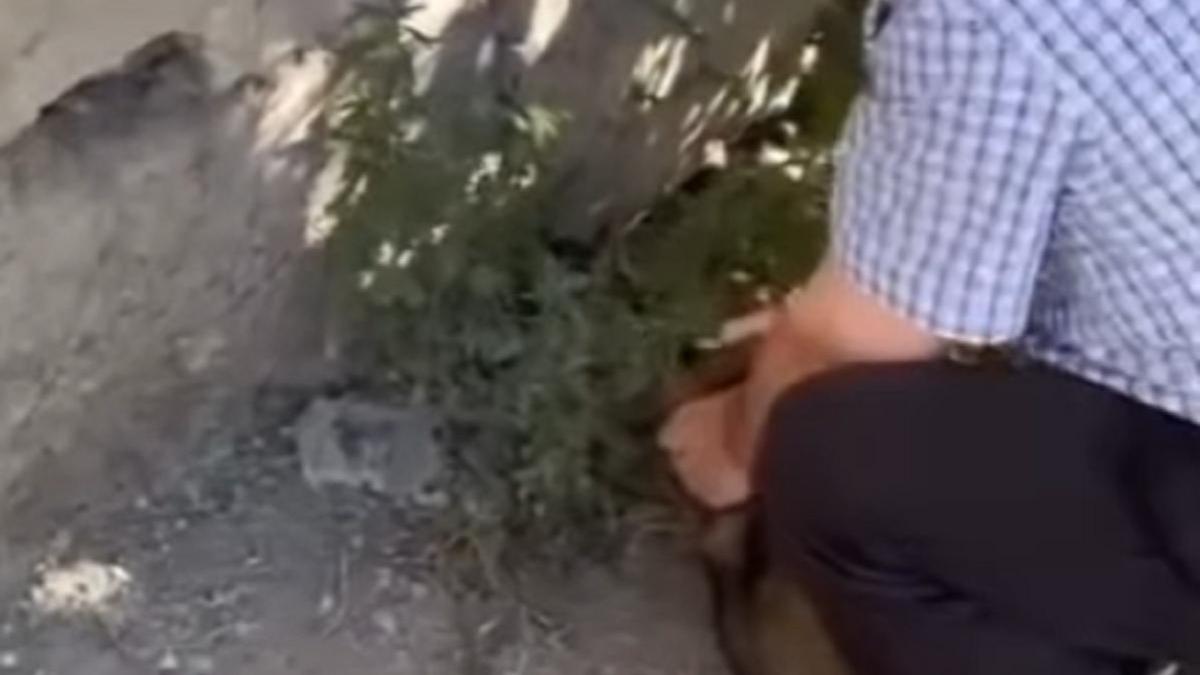 Мужчина держит щенка Мужчина держит щенка