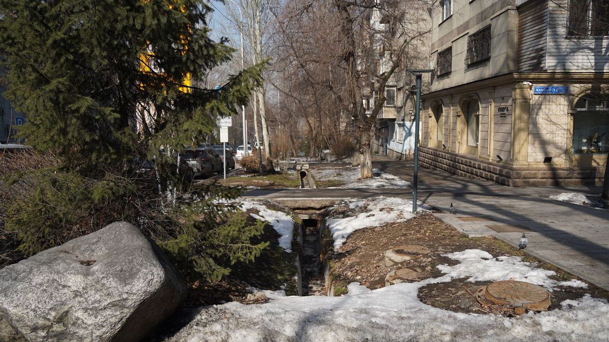 Алматы көшесі