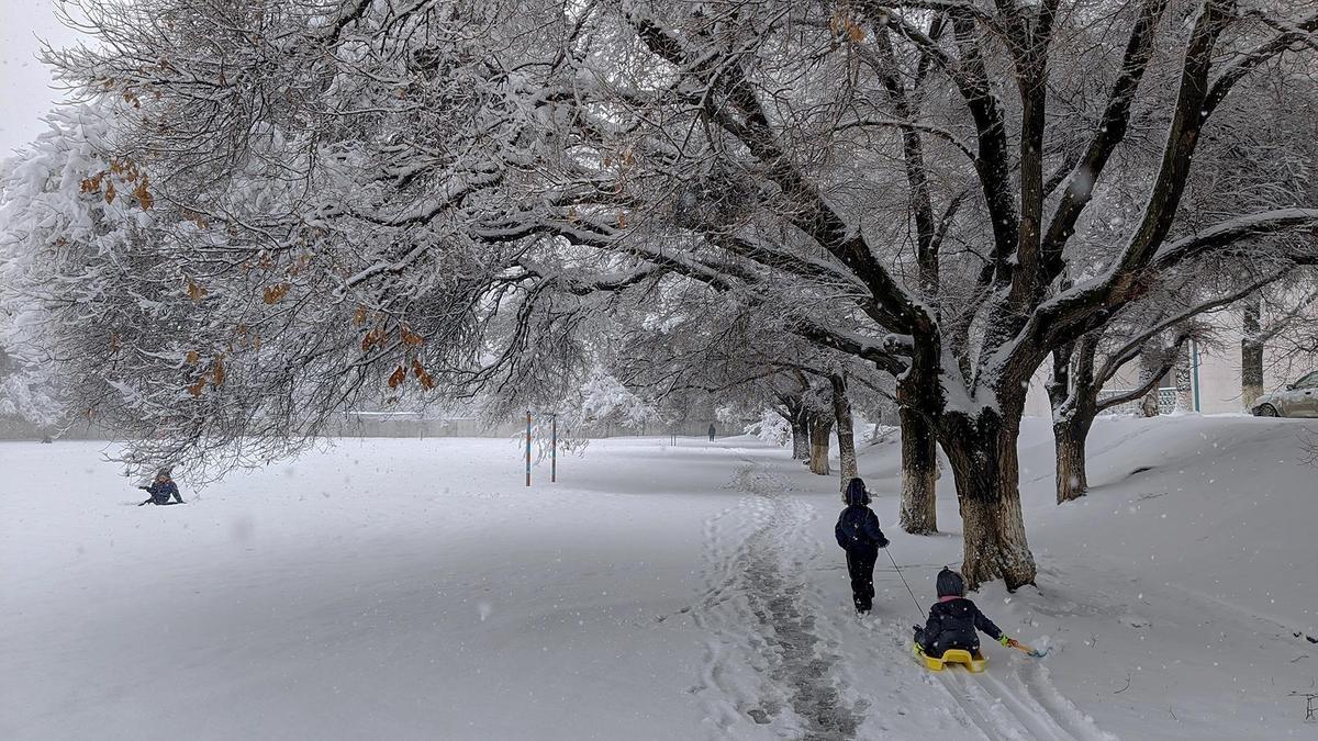 Судьба под снегом. Морозы ослабли фото. Мороз последнего дни февраля в Алматы. Слуды над снегом в ДУСУ.