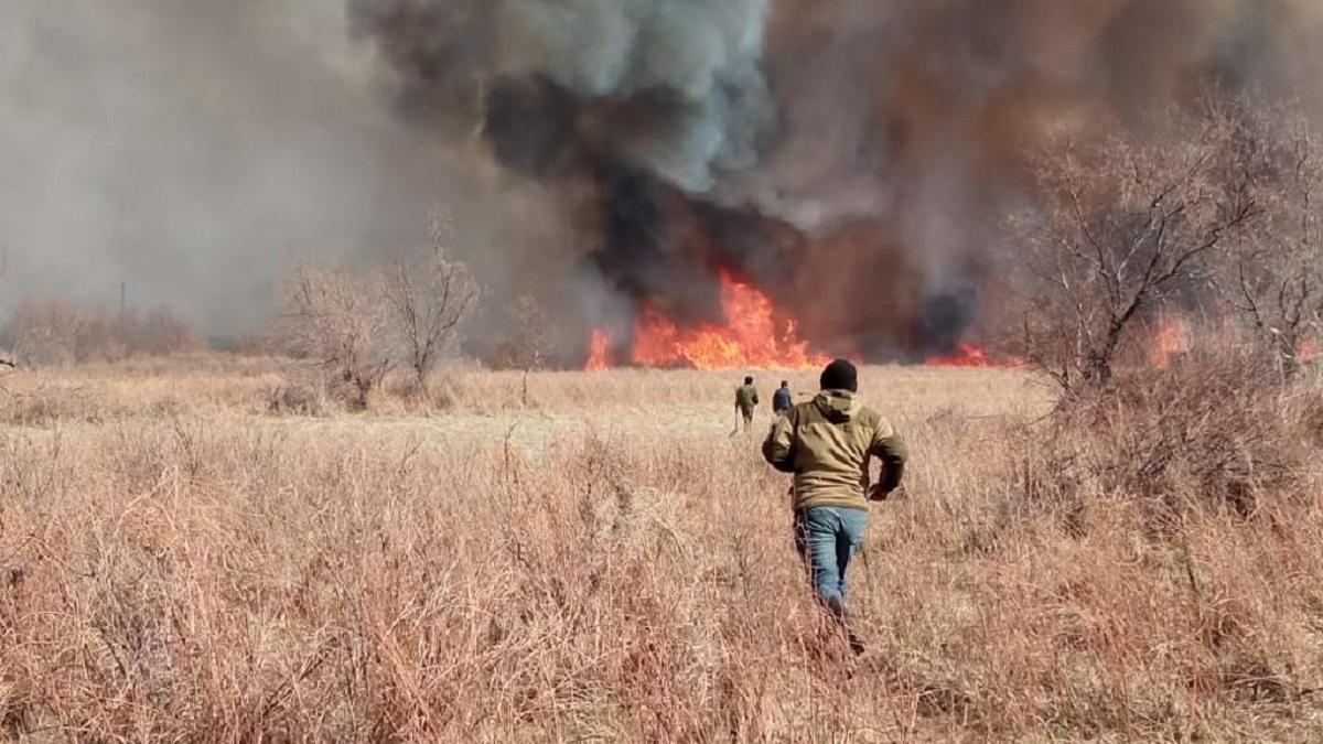 Трава горит в Прибалхашье