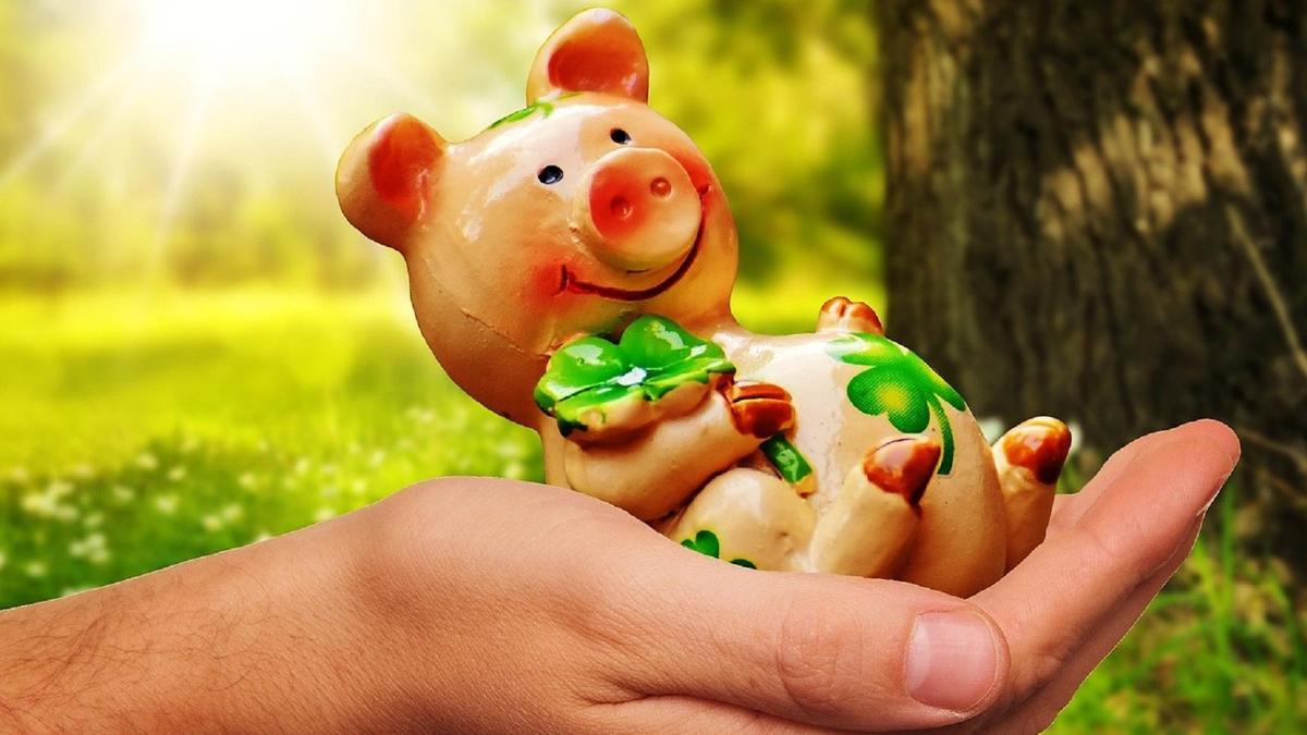Доңыз пішіні Доңыз пішіні