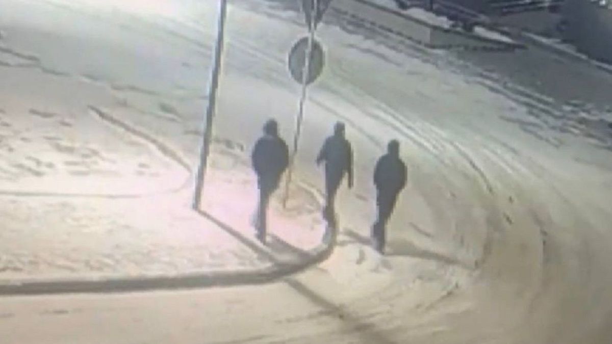 Подозреваемые в квартирной краже