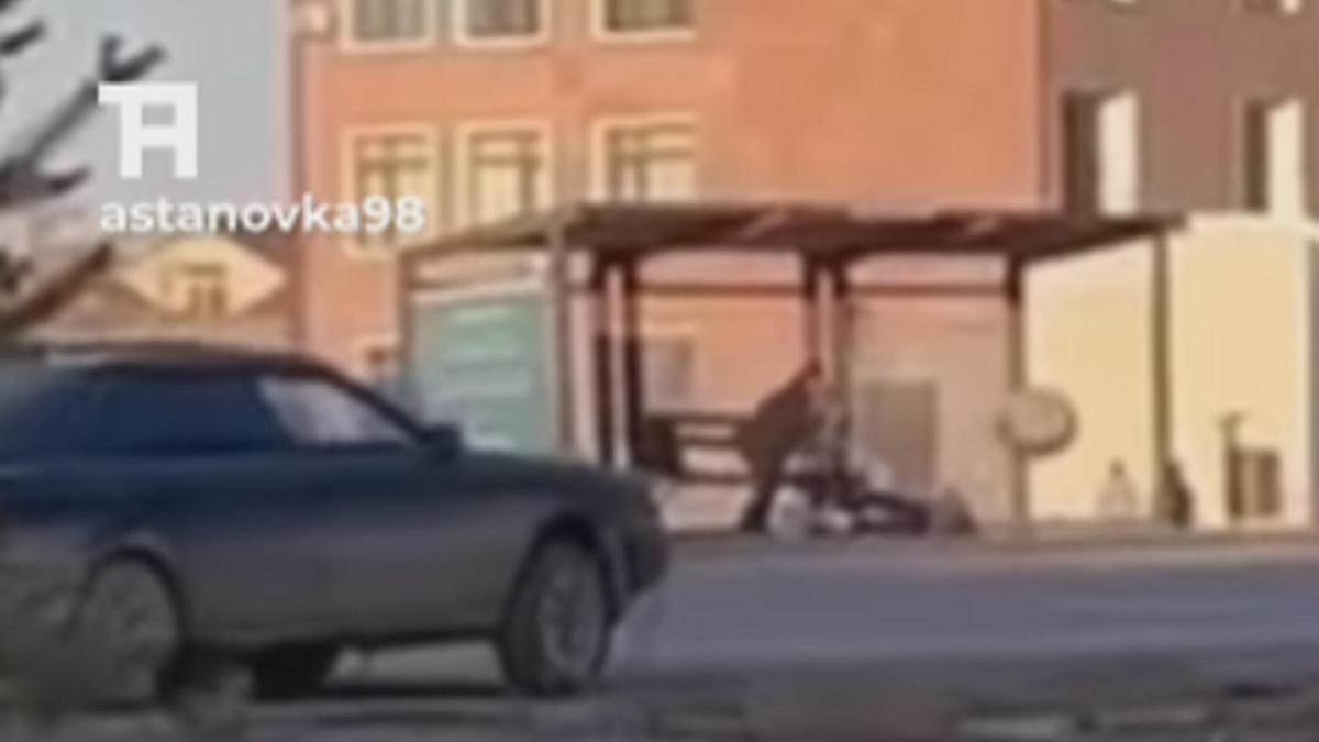 Қызға көліктің дөңгелегі тиген сәт Қызға көліктің дөңгелегі тиген сәт