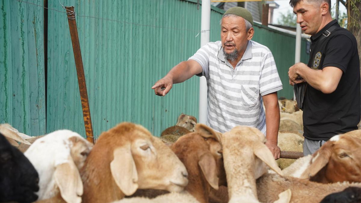 Курбан айт в Алматы Курбан айт в Алматы