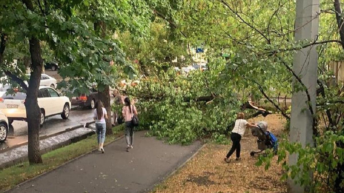 Стопбан где ливень. Деревья в Алматы на улицах. Шквалистый ветер фото. Алматы улица Масанчи фото. Затопило улицу свободы.