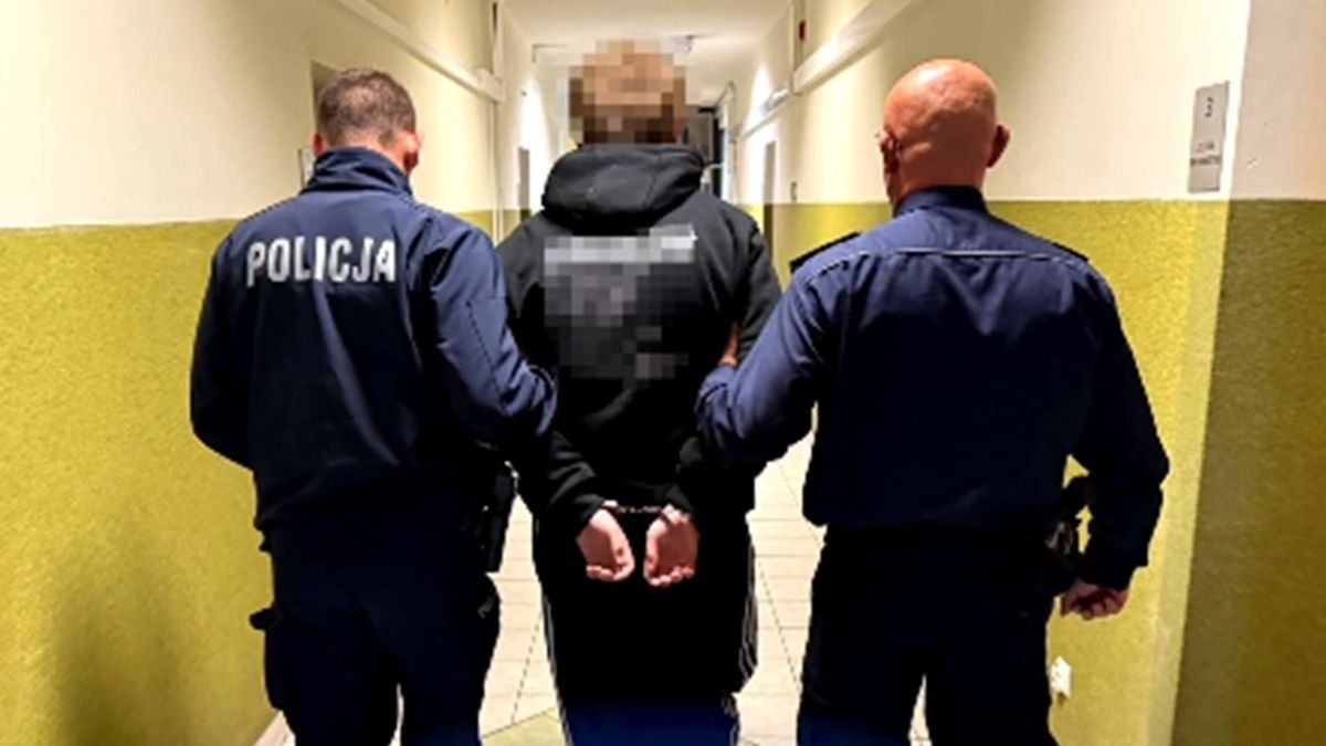 Задержание в Польше