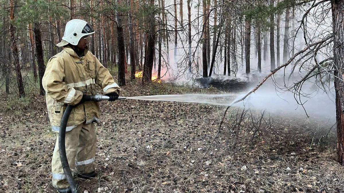 Абай облысындағы өртті сөндіру сәті