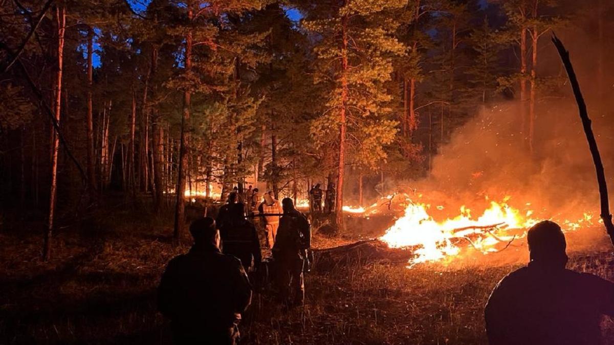 Пожар в Абайской области