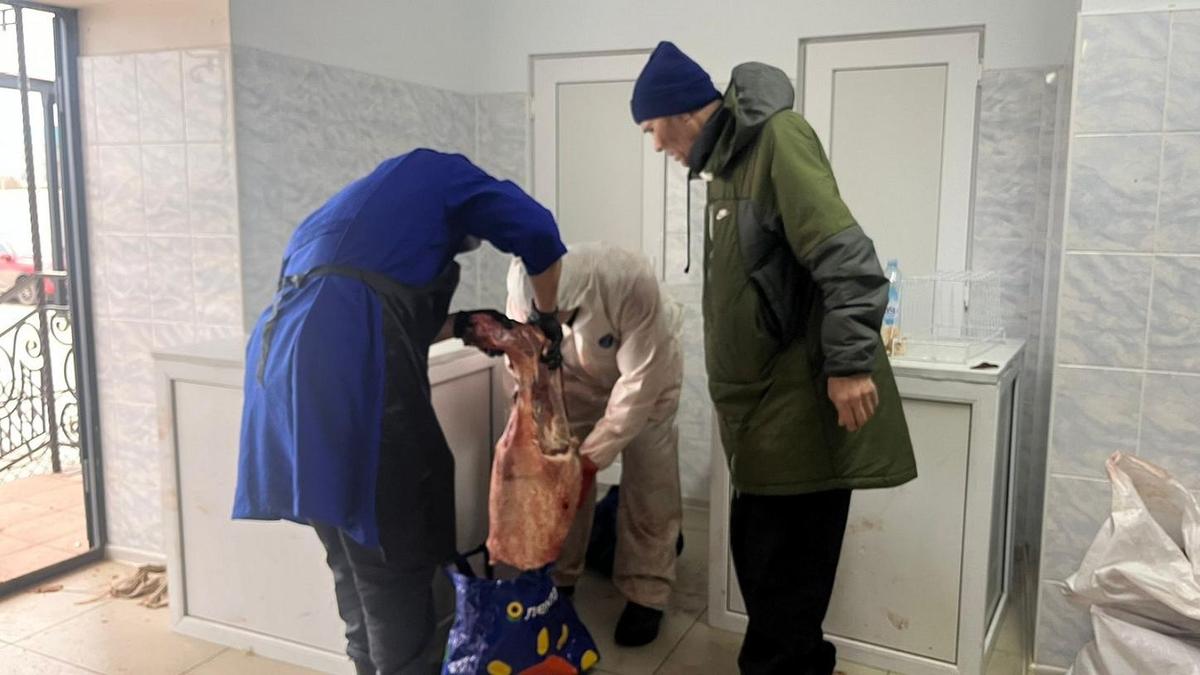 Киік еті комбинатқа өткізу Киік еті комбинатқа өткізу