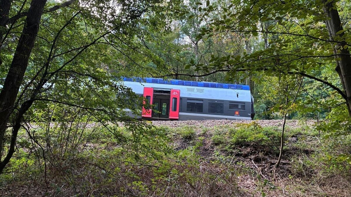 Поезд сошел с рельсов во Франции