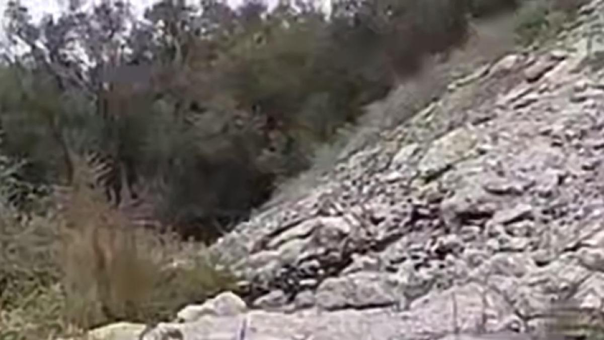 Место с отходами