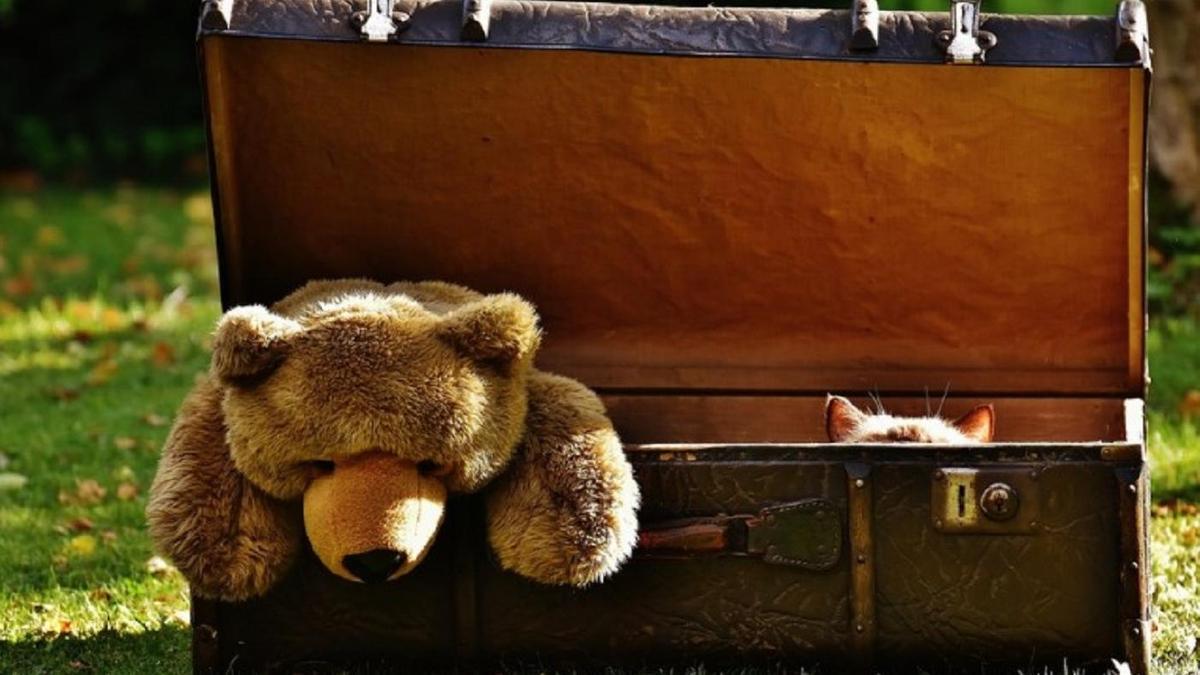 педофилдерге қатысты заң педофилдерге қатысты заң