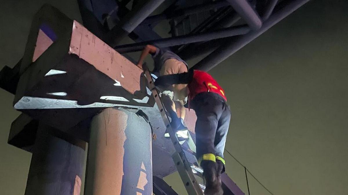 Ребенок на мосту