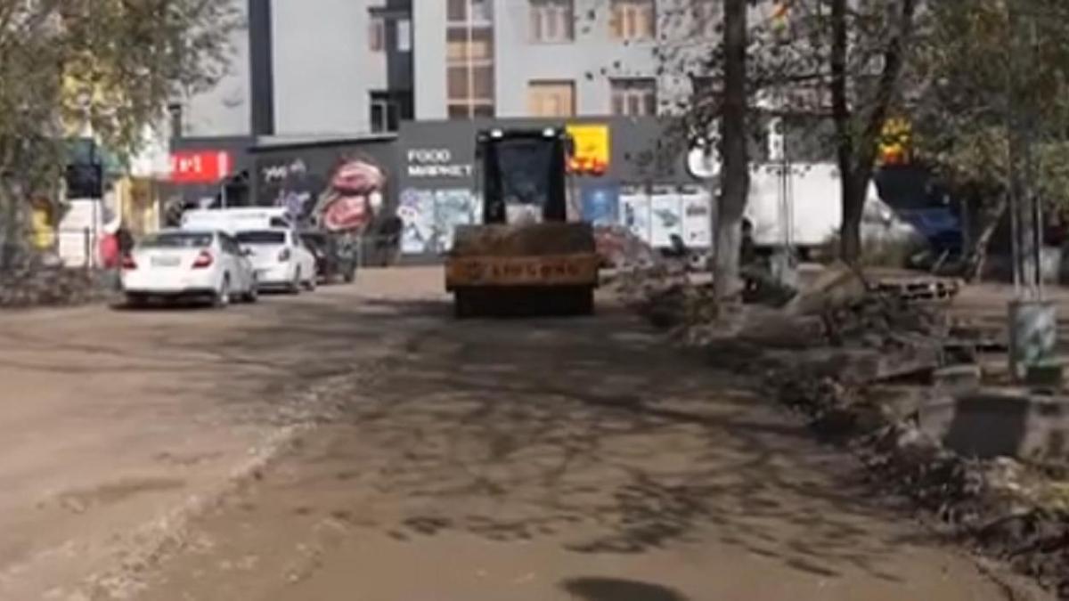 Стройка на месте вырубленных деревьев