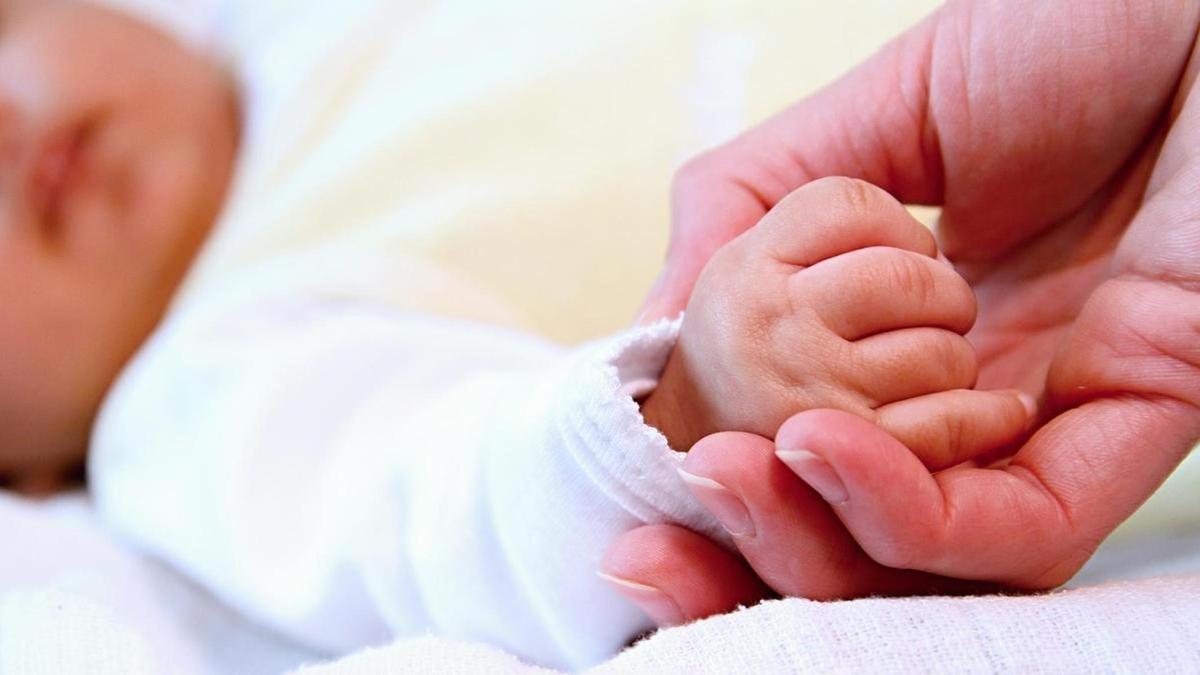 Милена Вельба және Надин Янсен