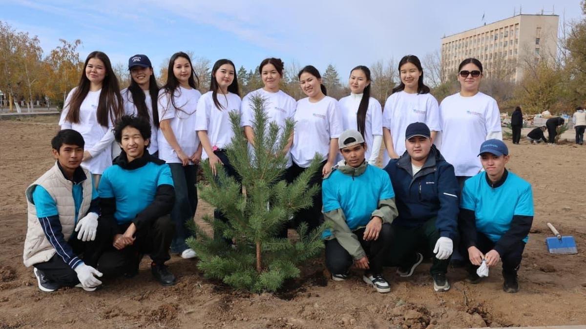 Посадка деревьев