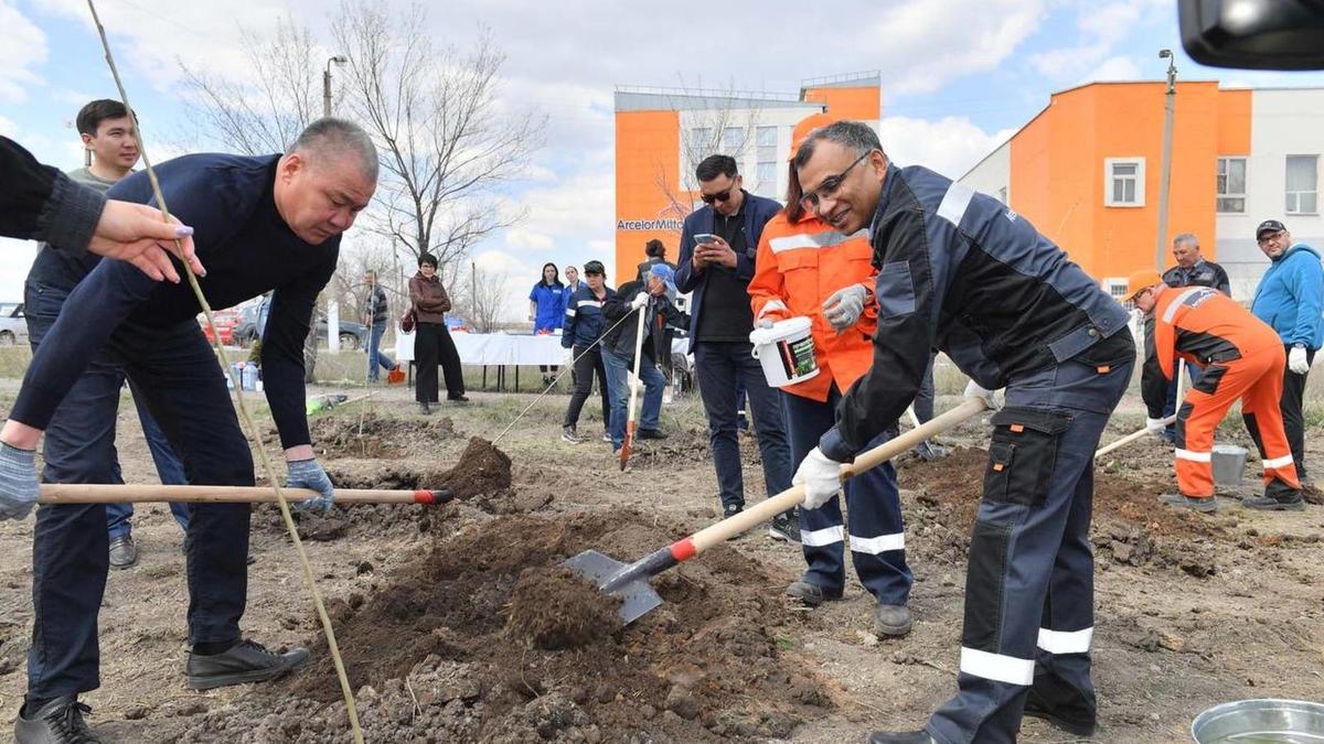 Высадку 100 000 саженцев в Темиртау начала компания «АрселорМиттал Темиртау»