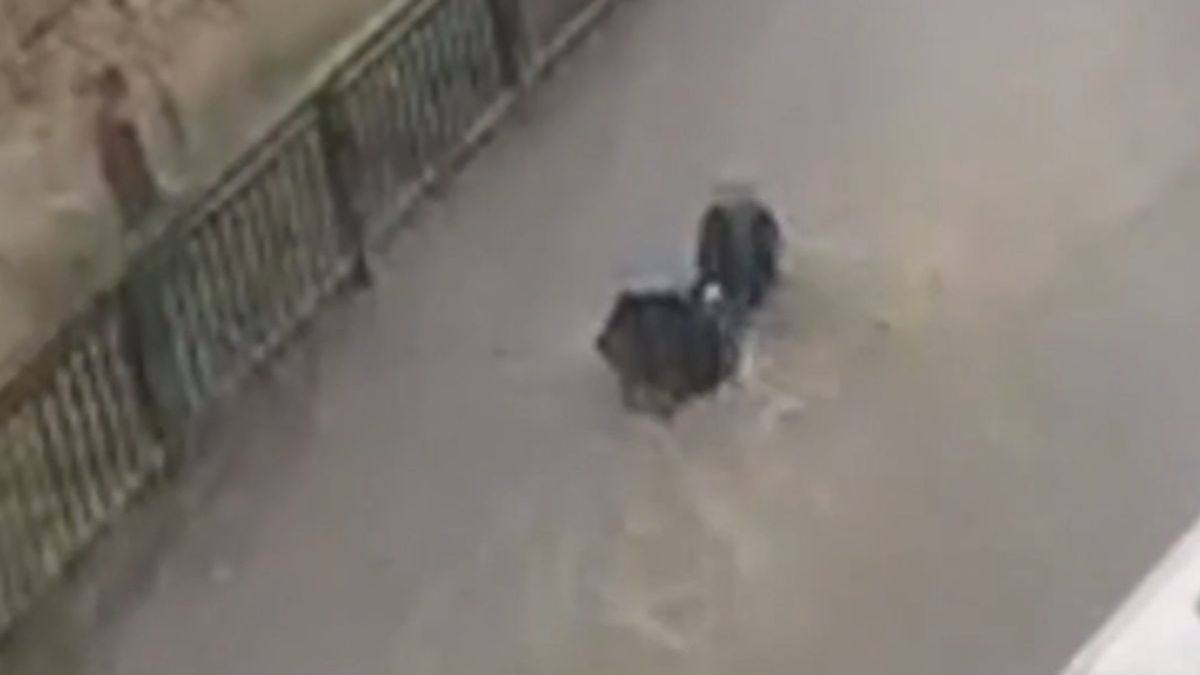 Женщину уносит потоком воды в Турции