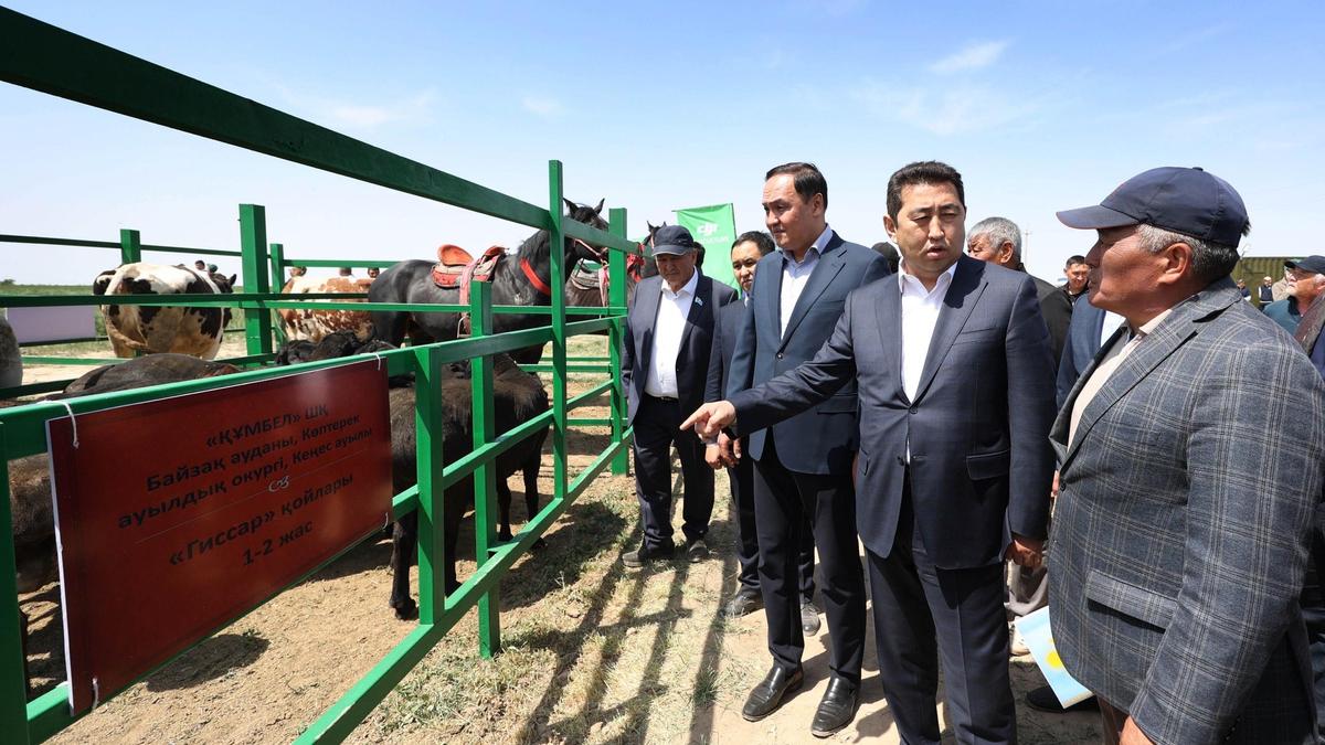 Жамбыл облысы Жамбыл облысы