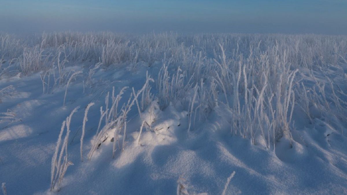 Степь зимой