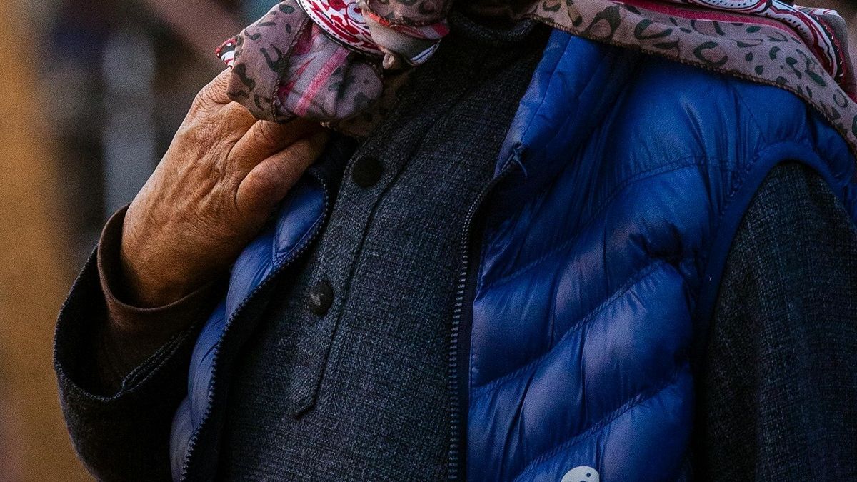 Пенсионерка