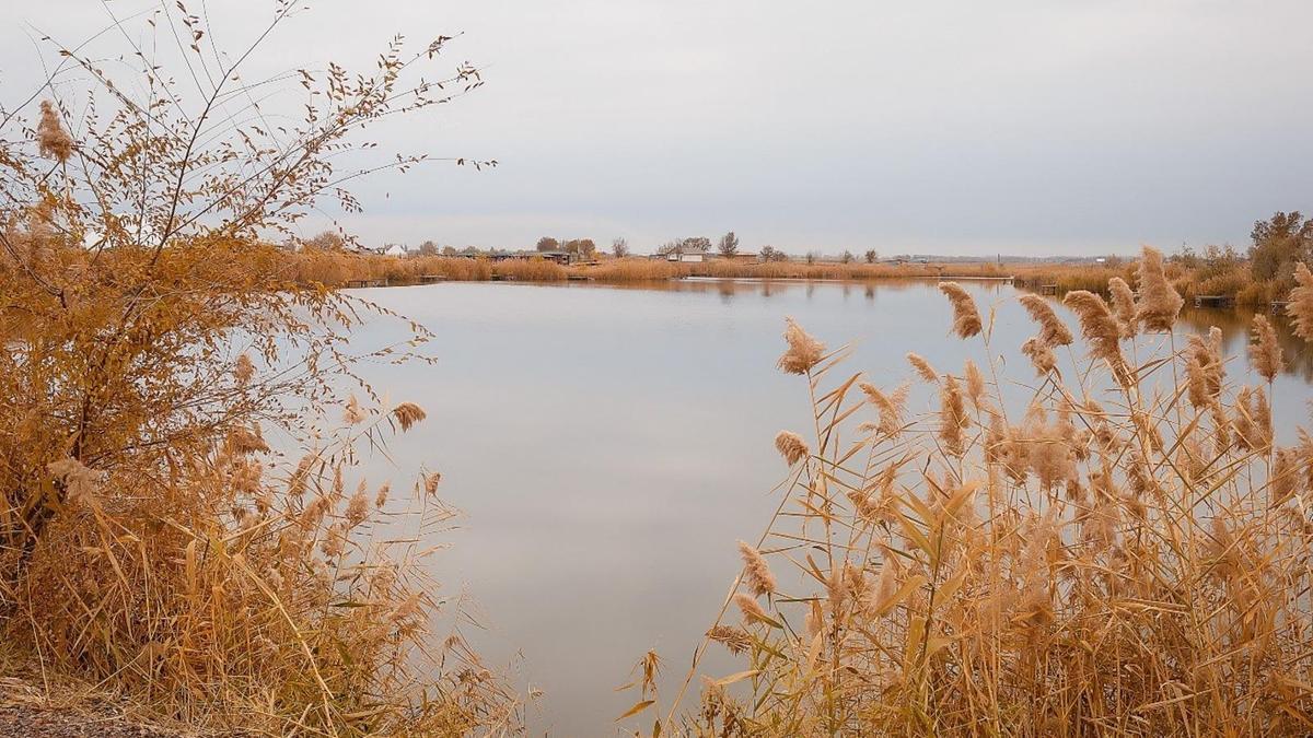 села Исаево Карасайского района Алматинской области