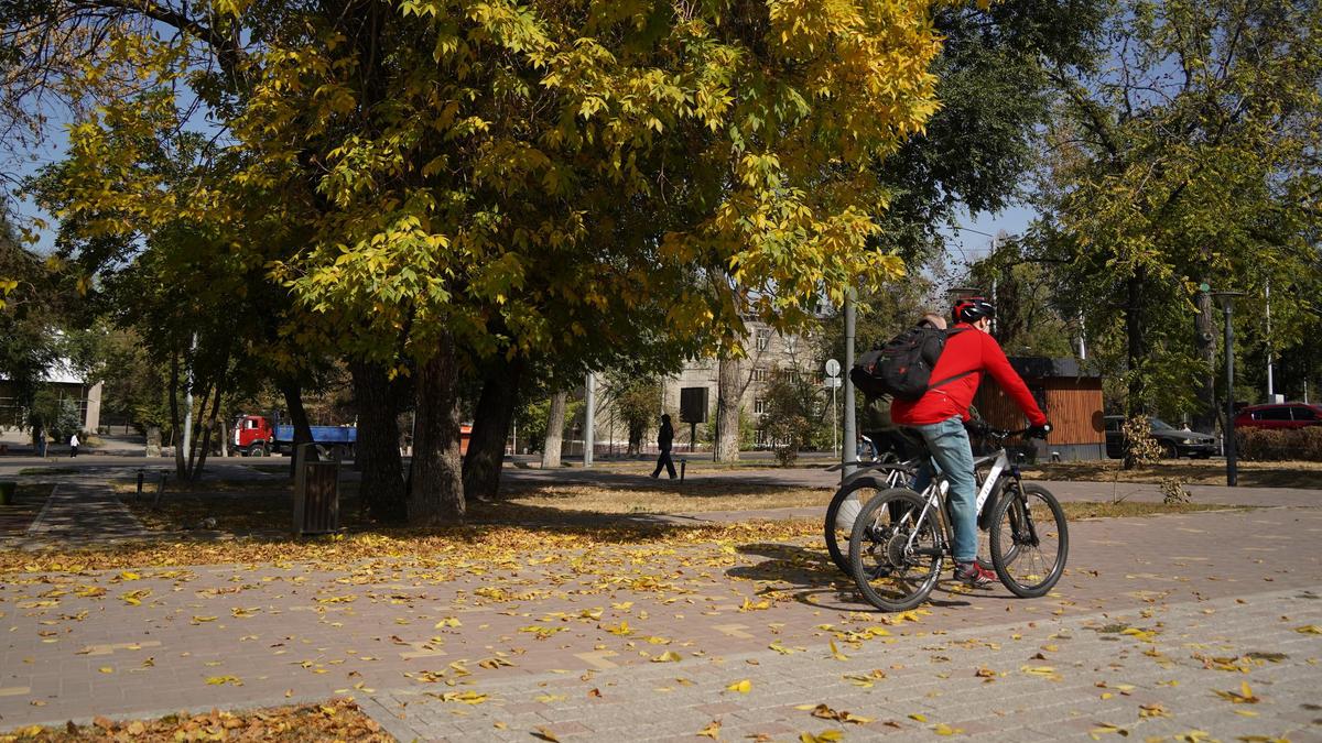 Көшеде шайтанарбамен кетіп бара жатқан адам