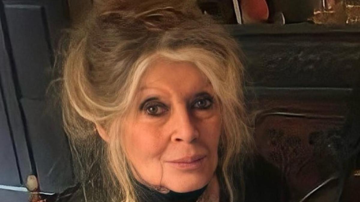 Актриса Брижит Бардо