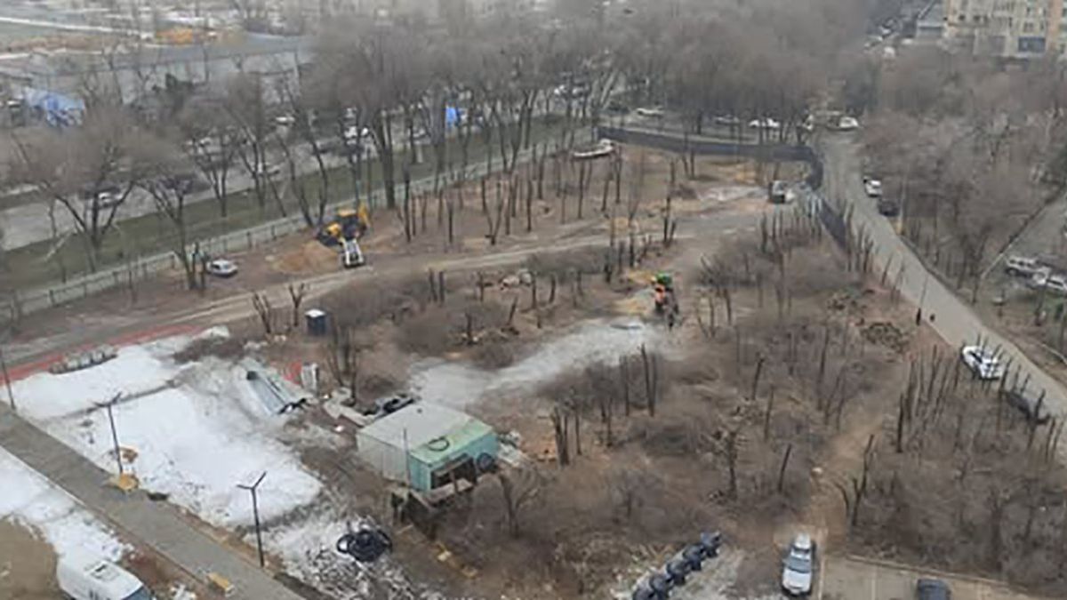 Вырубка деревьев