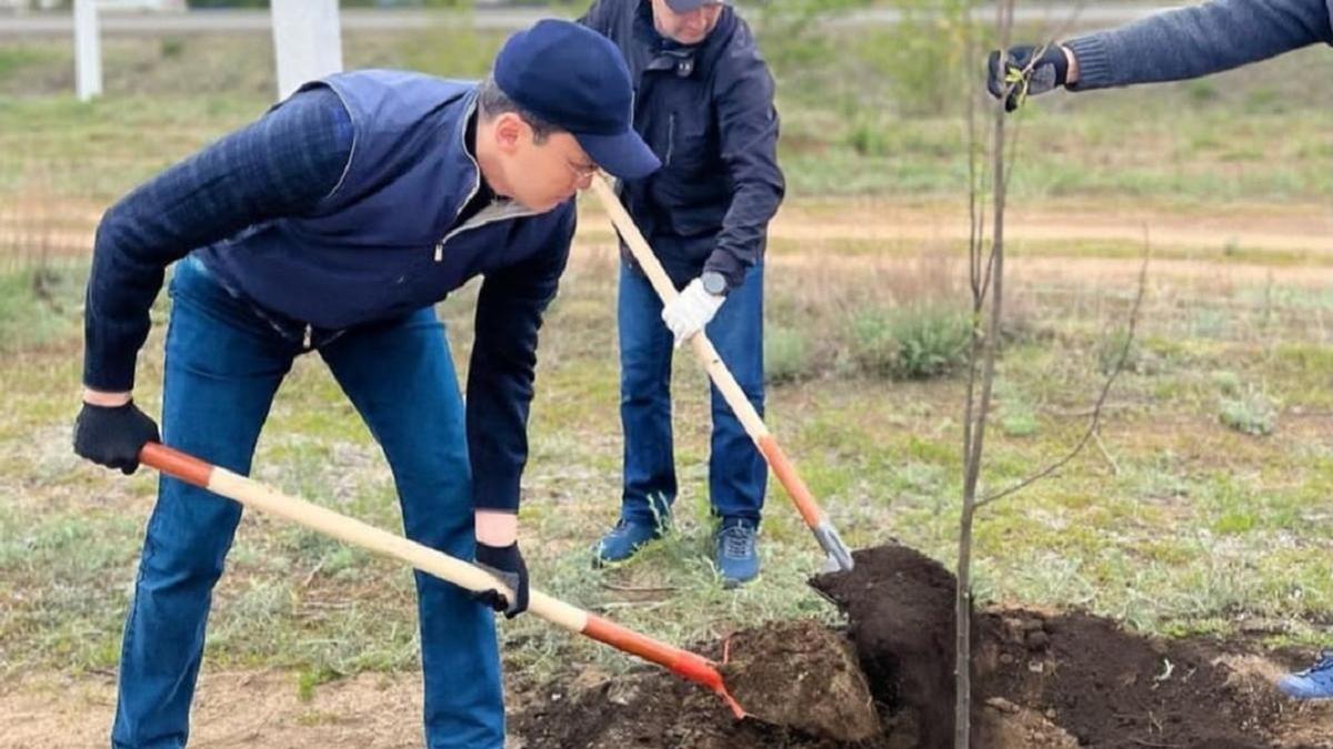 Ақтөбеде «Отбасы ағашын» отырғызу акциясы өтті Ақтөбеде «Отбасы ағашын» отырғызу акциясы өтті