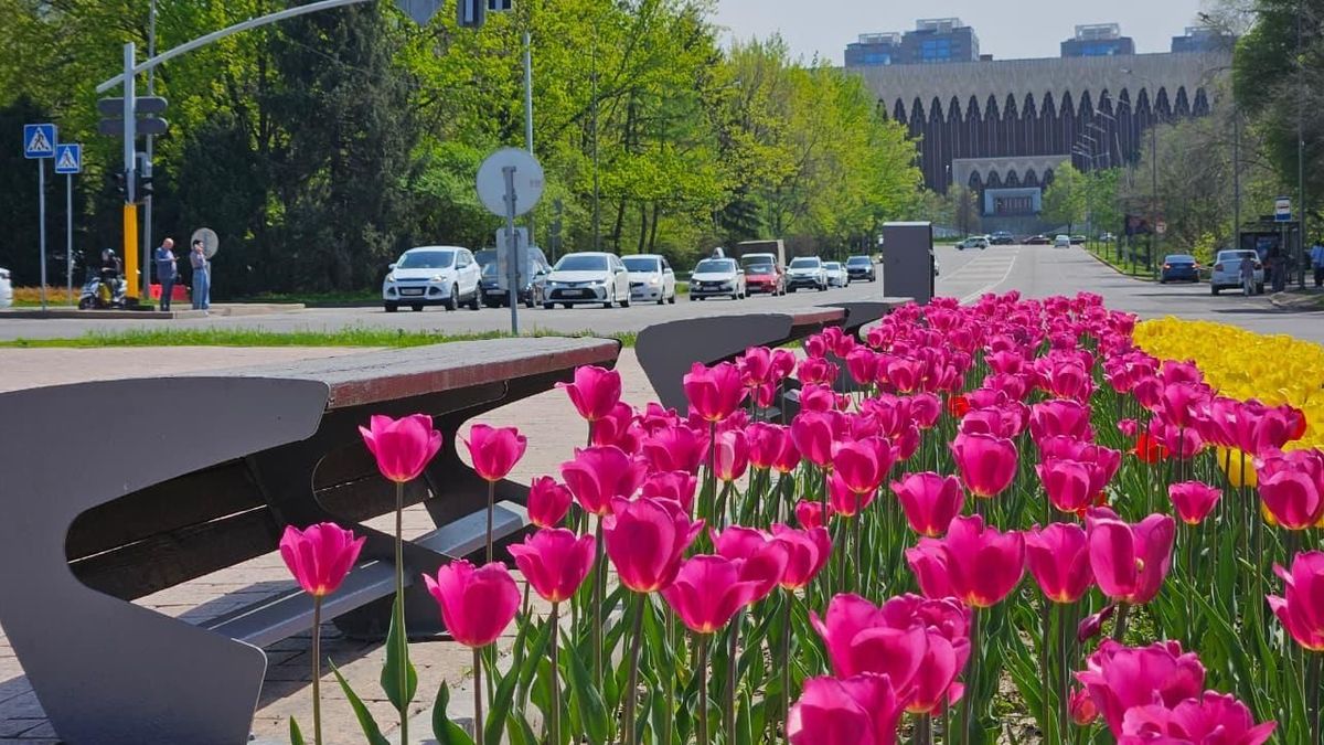 Озеленение Алматы