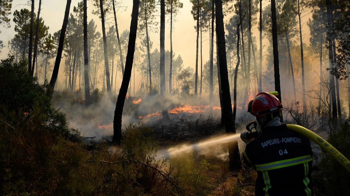 73 винодельни пострадали в результате пожаров на юго-востоке Франции