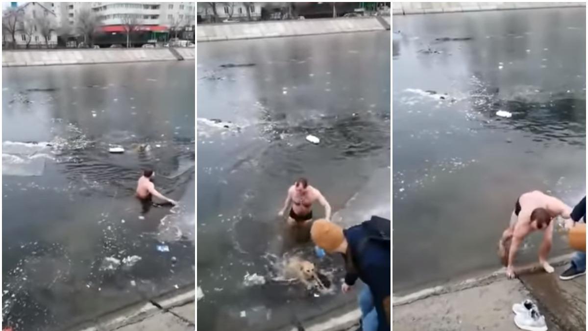 Мужчина спас собаку. Спас собаку из ледяной воды. Мужчина спас собаку из ледяной воды. Парень спасает собаку из ледяной воды. Собака утонула в бассейне.