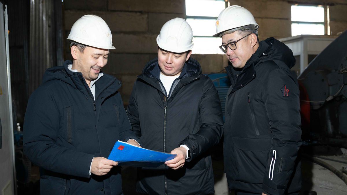 Завод Aina Resources