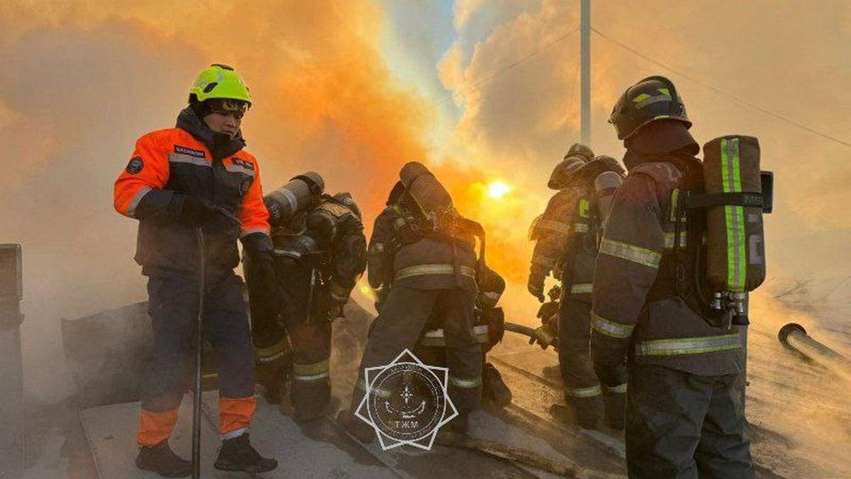 Оны мас күйінде қалдырды және оны ұрды