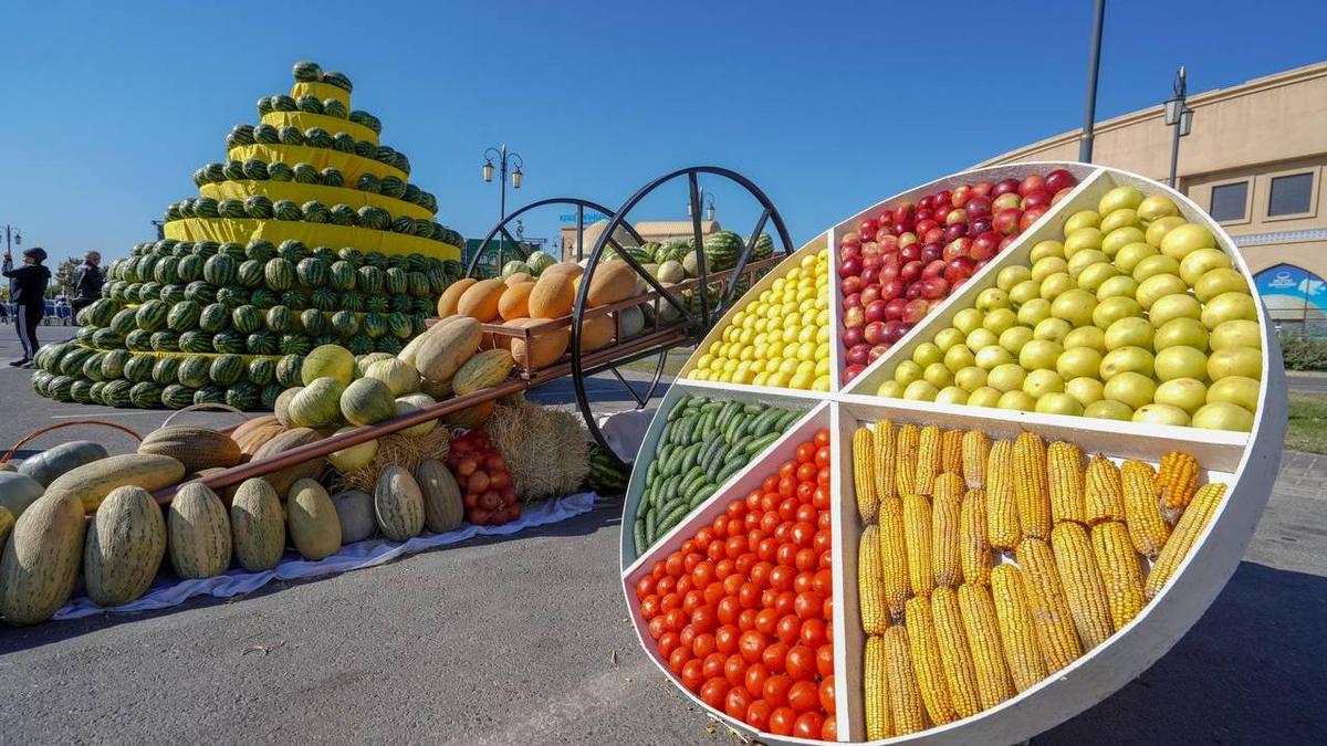 "Agrofest Turkistan – 2024" шарасы "Agrofest Turkistan – 2024" шарасы