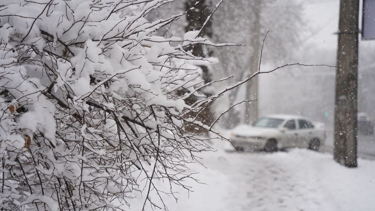 Қалың қардың суреті